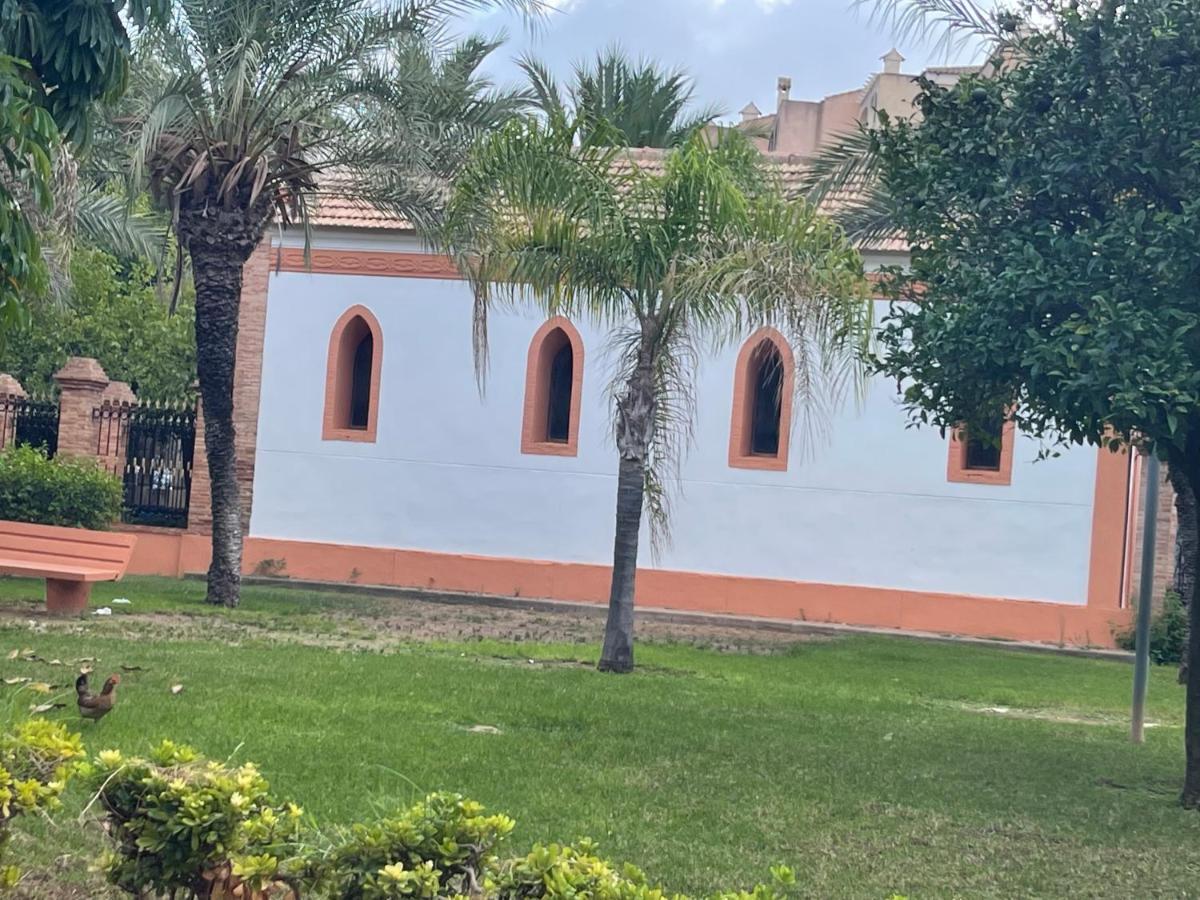 Apartamento Exclusivo Y Central Torrevieja Dış mekan fotoğraf