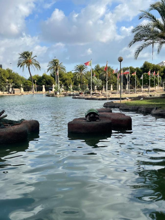 Apartamento Exclusivo Y Central Torrevieja Dış mekan fotoğraf